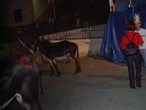 IM002043-small.jpg (4666 byte)